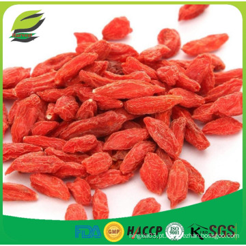 Ningxia orgânica goji berry Semente de Lycium para amostra livre de baga de goji seca